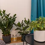 Garden Hideout - * Braşov