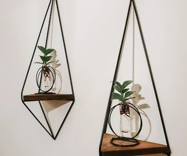 Garden Hideout - Apartment Brasov