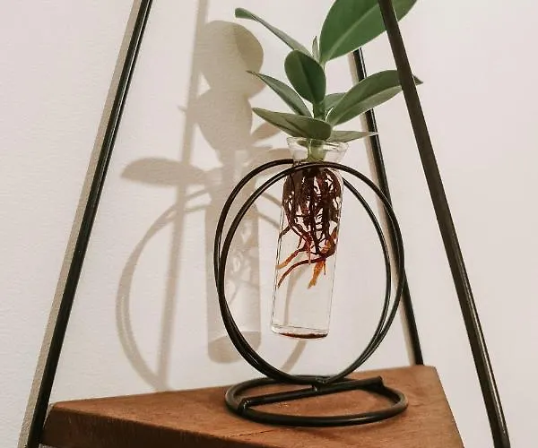 Apartment Garden Hideout - *