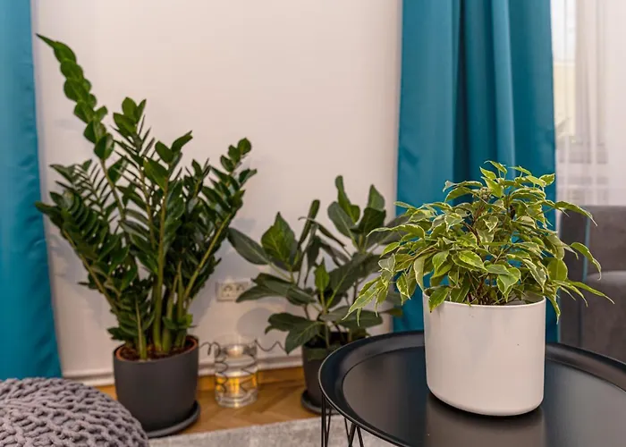 Garden Hideout - * Brasov